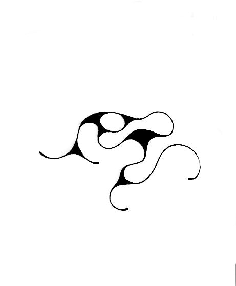 Flash: Abstract Squiggle